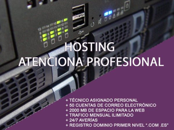 hosting-profesional